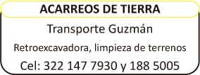 2 transporte guzman min