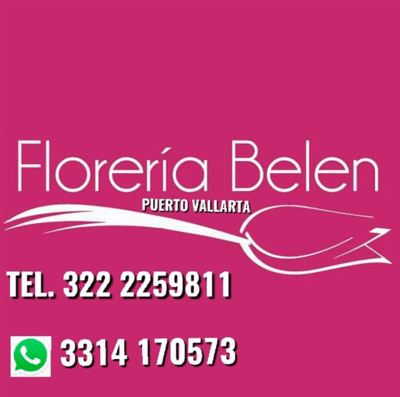Logo de Florería Belén