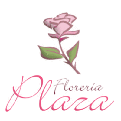 Logo de Florería Plaza 