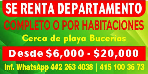 Guadalupe figueroa dise%c3%b1o