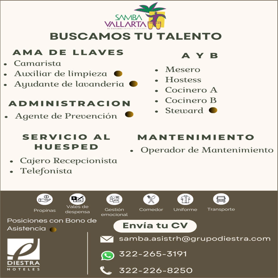 Hotel samba dise%c3%b1o