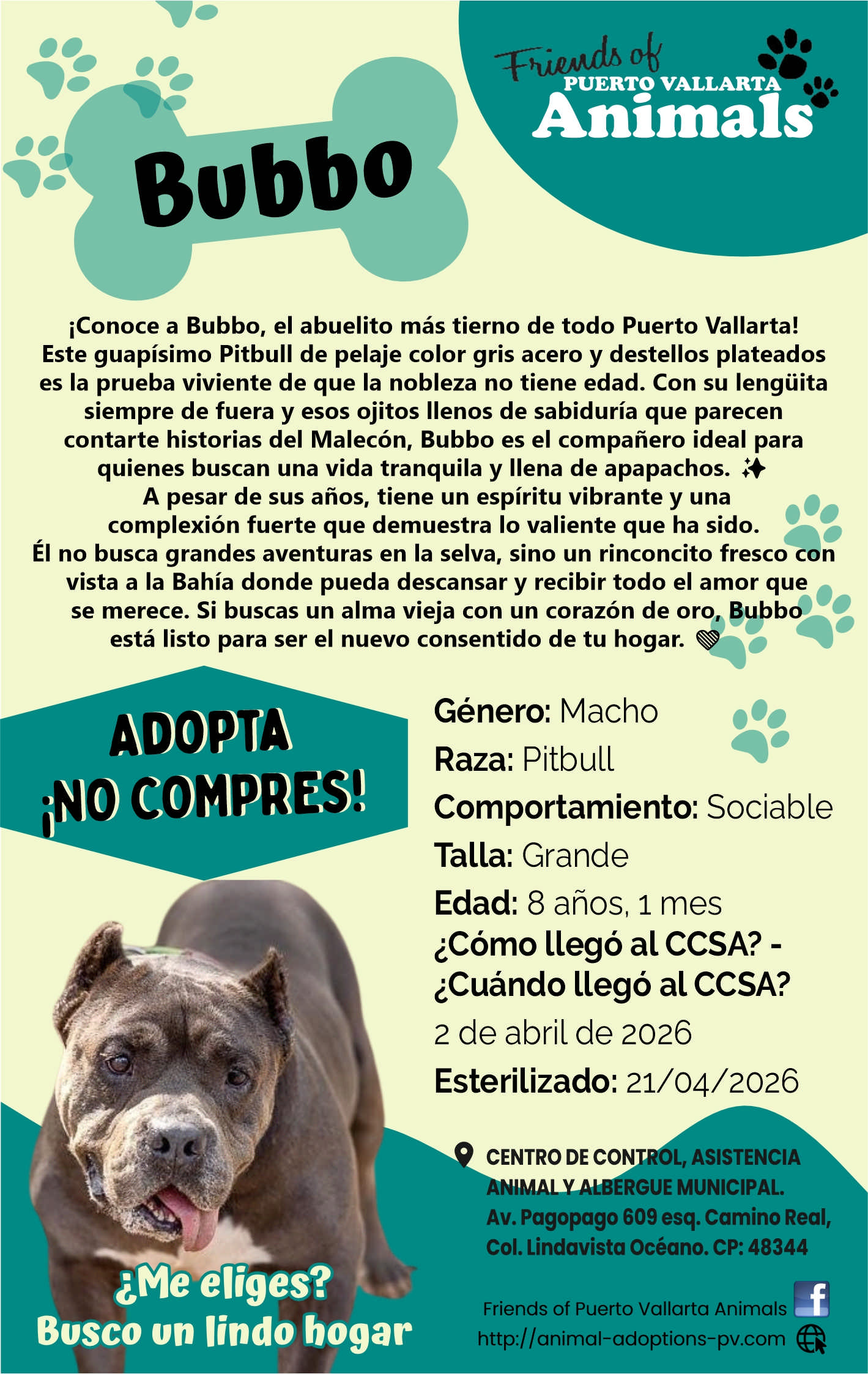 Friends of animals