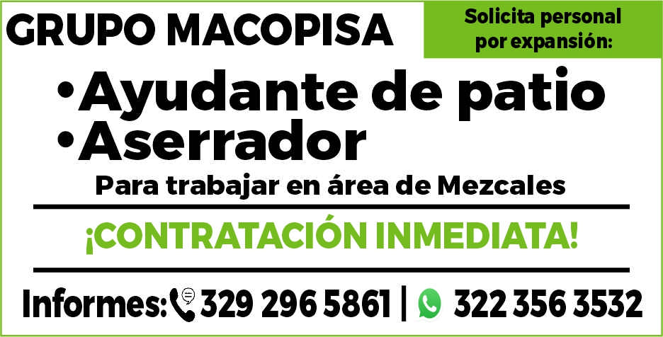 Grupo macopisa dise%c3%b1o