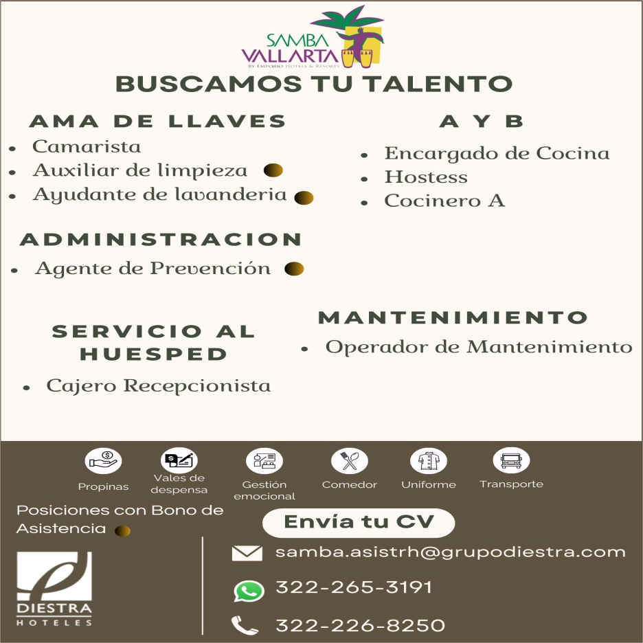 Hotel samba dise%c3%b1o