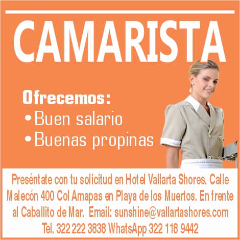 Hotel vallarta shores dise%c3%b1o
