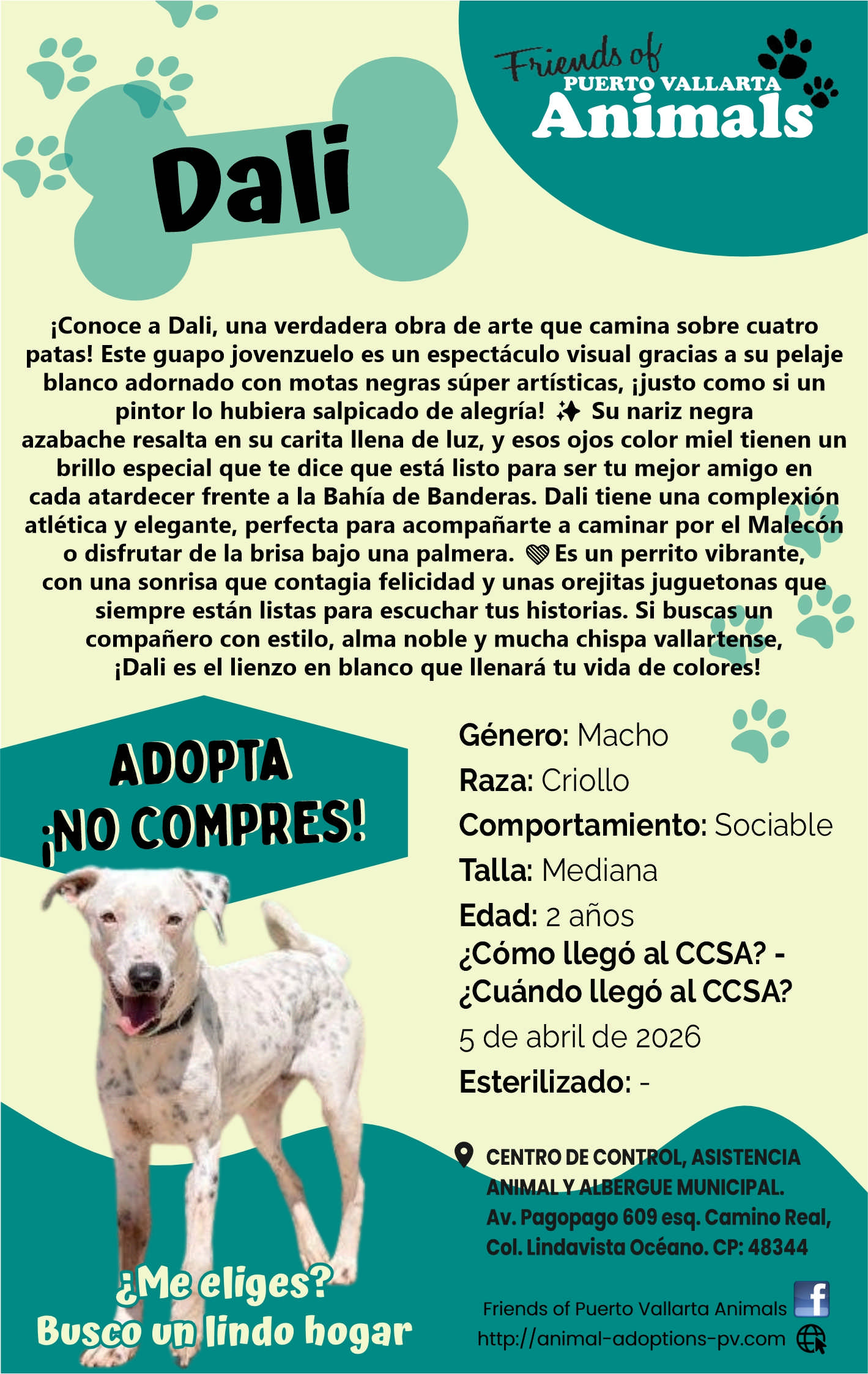 Friends of animals