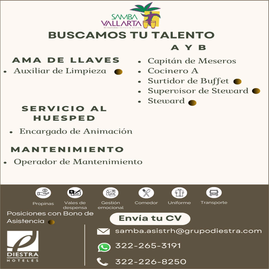 Hotel samba dise%c3%b1o