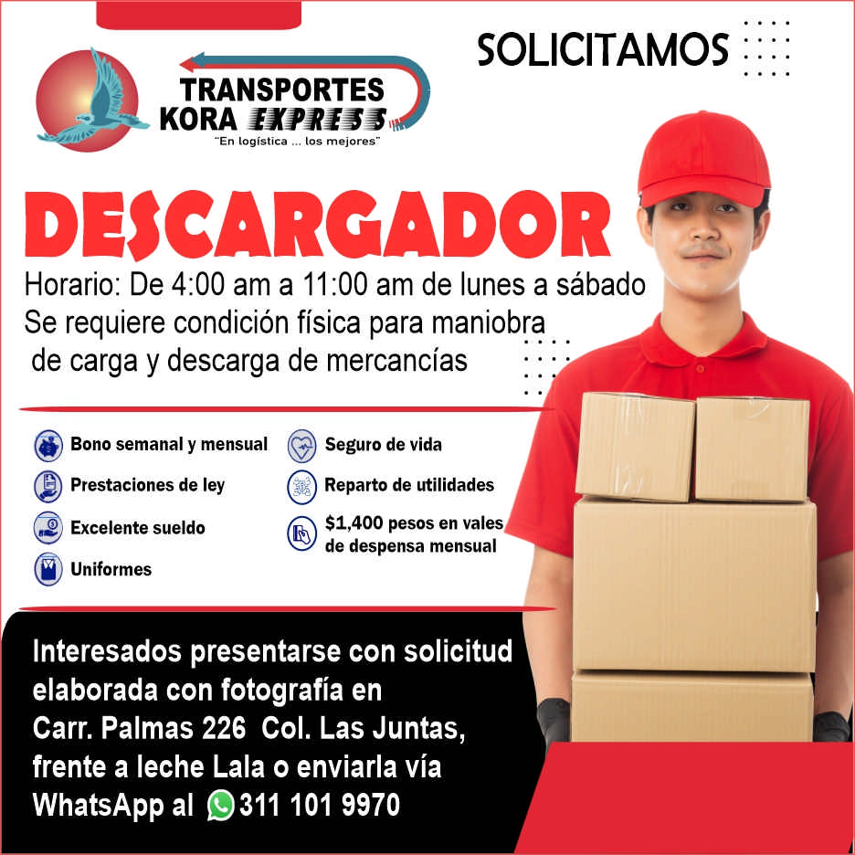 Transportes kora express dise%c3%b1o