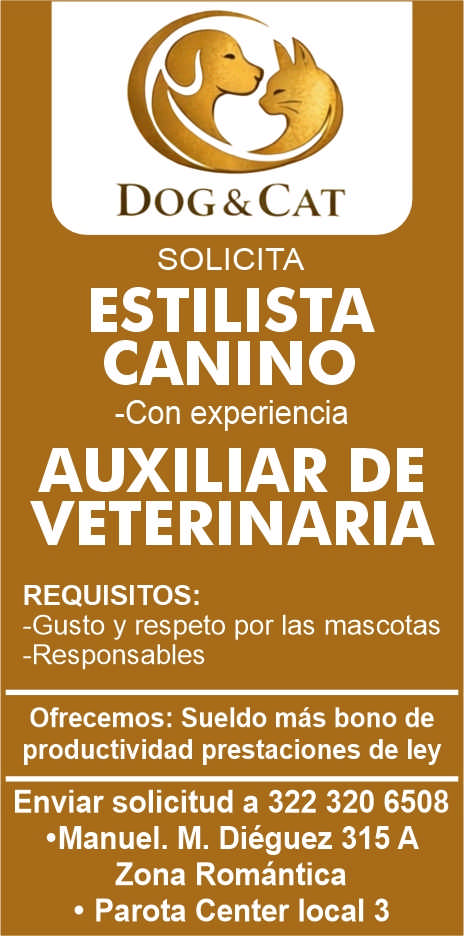 Veterinaria can y cat dise%c3%91o