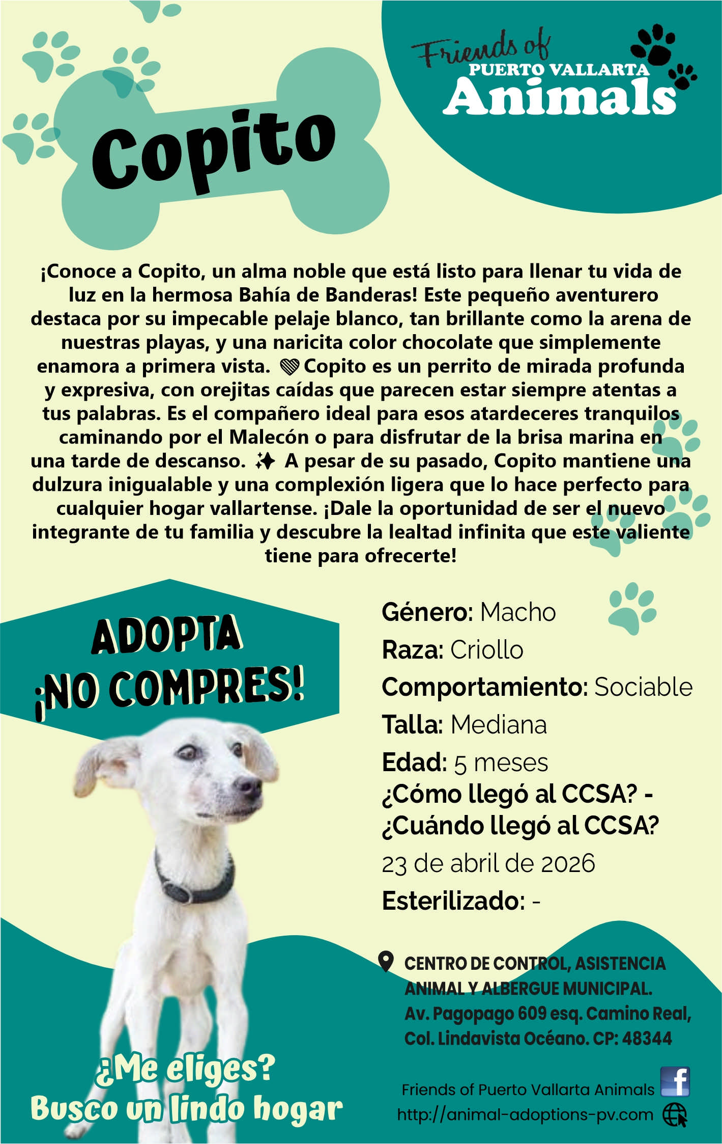 Friends of animals