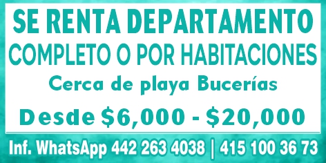 Guadalupe figueroa dise%c3%b1o