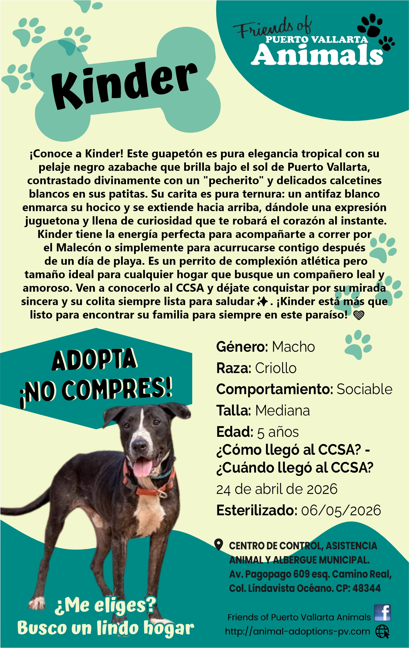 Friends of animals