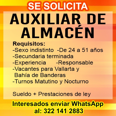 Efigente dise%c3%b1o