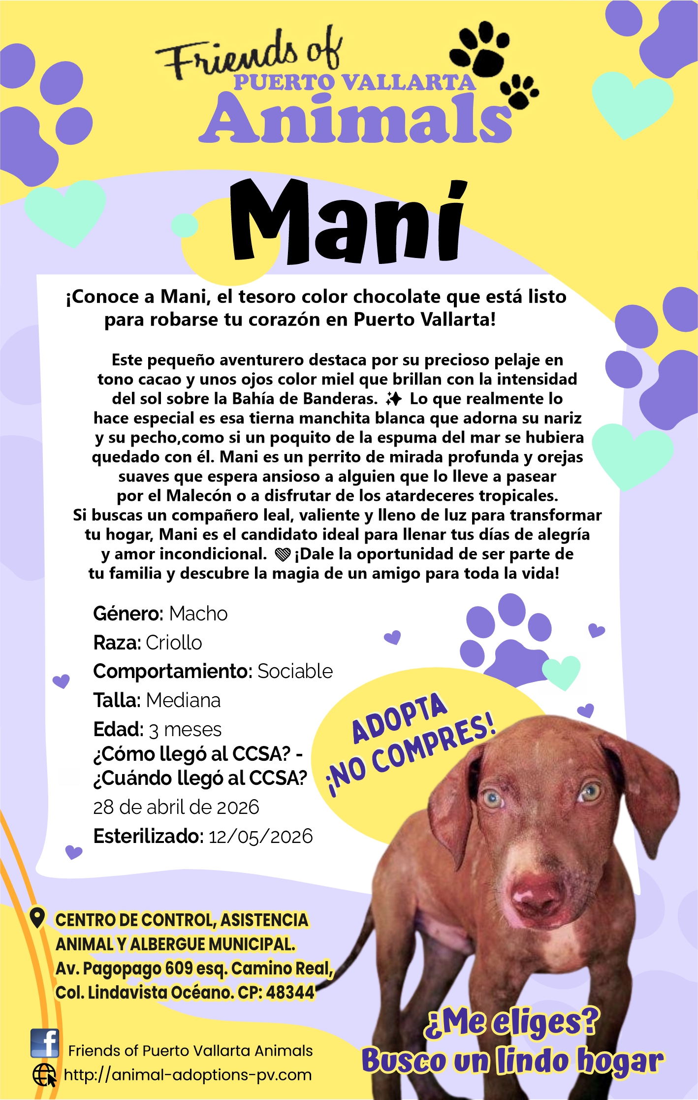 Friends of animals