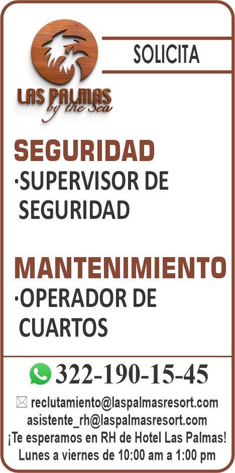 Hotel las palmas dise%c3%b1o