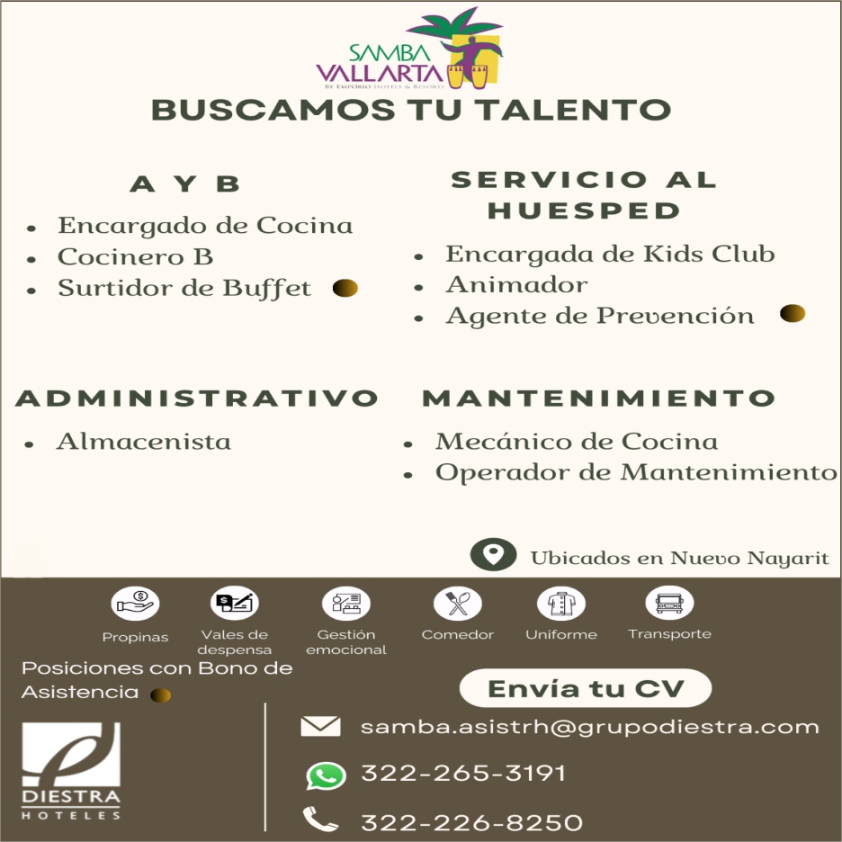 Hotel samba dise%c3%b1o