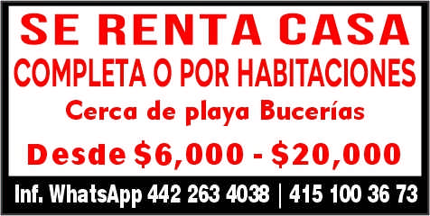 Guadalupe figueroa dise%c3%b1o