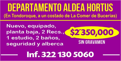 Tu casa en vallarta dise%c3%b1o