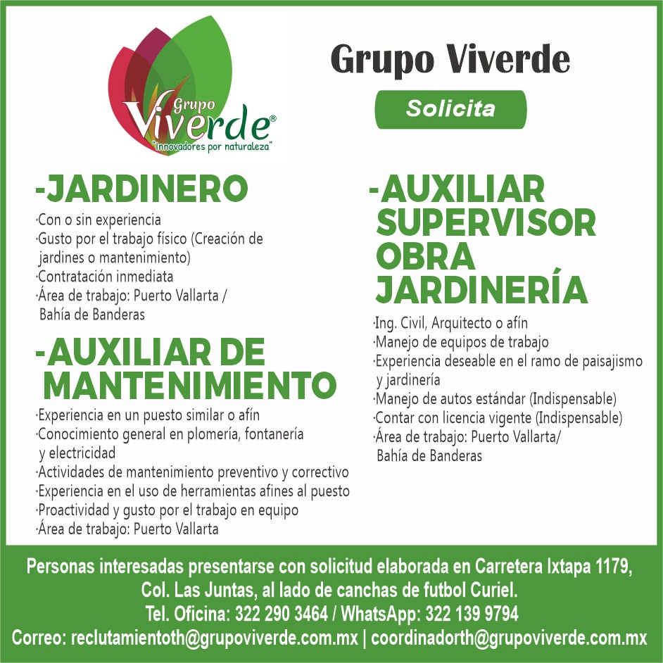 Grupo viverde dise%c3%b1o