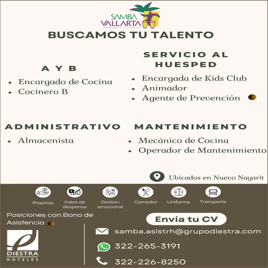 Hotel samba dise%c3%b1o