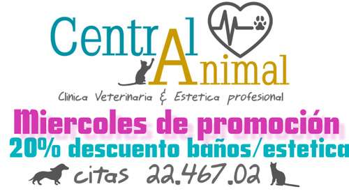 imagen de MIERCOLES DE PROMOCION EN CENTRAL ANIMAL_1