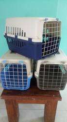 imagen de TRANSPORTADORAS_1