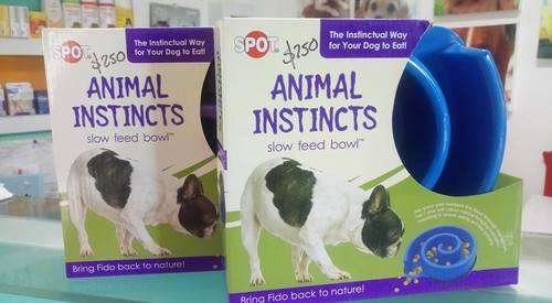 imagen de PLATO ANIMAL INSTINCTS_1