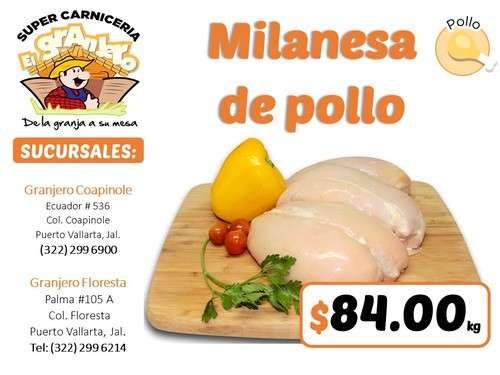 imagen de Milanesa de pollo_1
