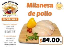imagen de Milanesa de pollo_1