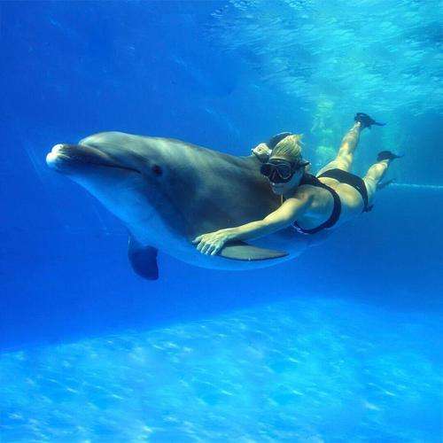 imagen de Aventuras con descuento en vallarta_1