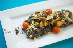 imagen de Cocina Creativa Mexicana_1