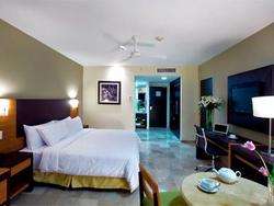 imagen de Deluxe Vista al Resort_1