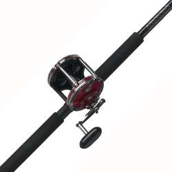 imagen de COMBO PARA PESCA DE TROLEO SENATOR SPECIAL_1
