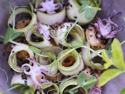 imagen de Ensalada de calabaza y calamares_1