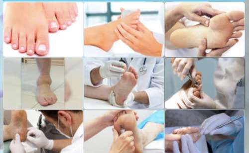 imagen de Servicios _1