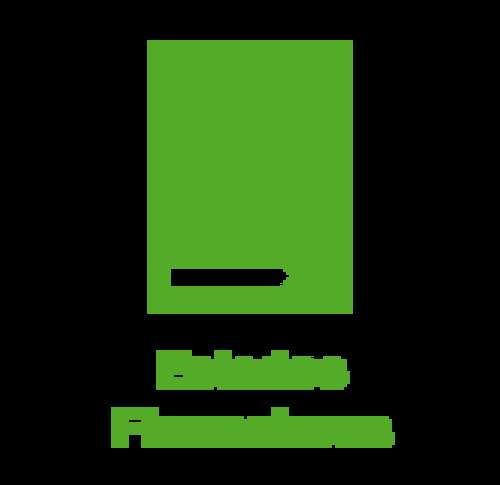 imagen de Estados Financieros _1