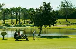 imagen de Transporte _1