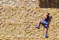 imagen de Muro de Escalar_1