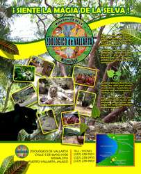 imagen de Visita el Zoologico de Vallarta_1