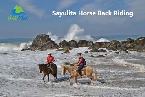 imagen de Sayulita Horse Back Riding Wildmex Adventures_1
