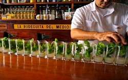 imagen de Mojitos_1