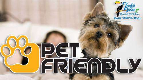 imagen de Pet friendly_1