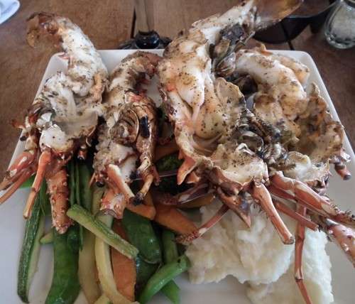 imagen de PACIFIC LOBSTER_1