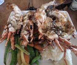 imagen de PACIFIC LOBSTER_1