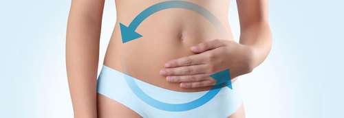 imagen de Aparato Digestivo_1