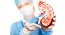 imagen de Urologia_1