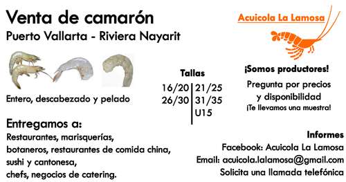 imagen de Venta de camaron para restaurantes_1