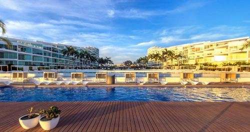 imagen de Acqua Flamingos (USD)_1