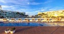 imagen de Acqua Flamingos (USD)_1