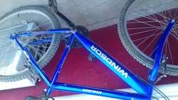 imagen de vendo bicicleta marca winsor rodado 26_1